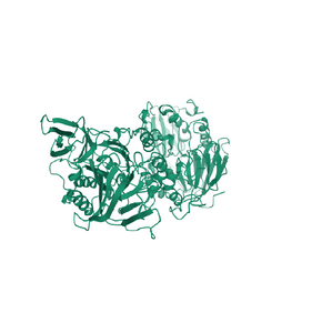 Acid Phosphatase, from wheat germ