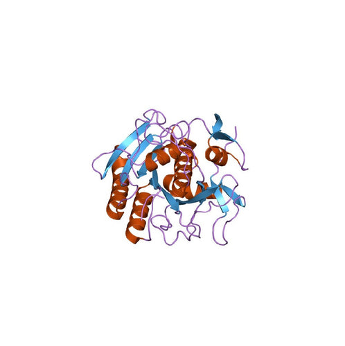 Proteinase K, Molecular Biology Grade, >30 units/mg protein